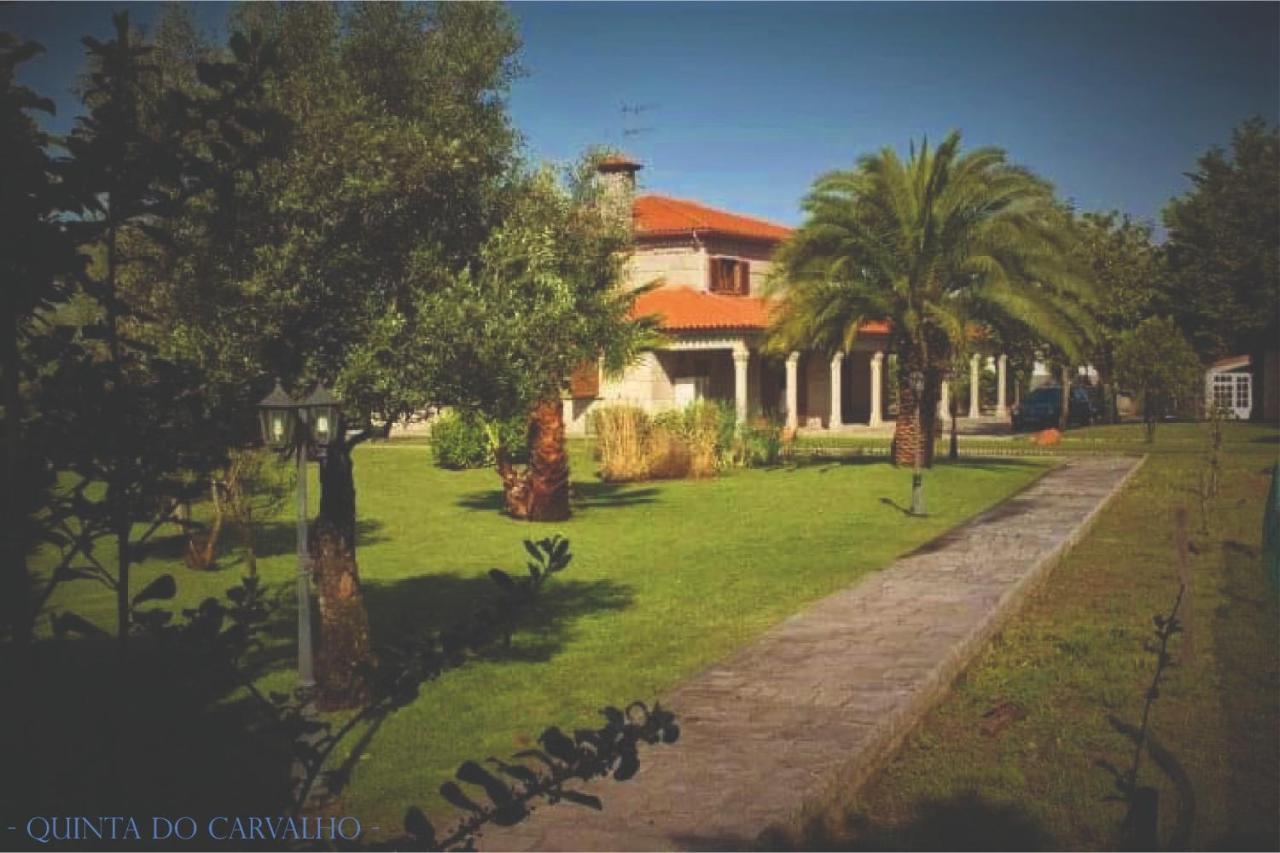 Quinta Do Carvalho - Nature *