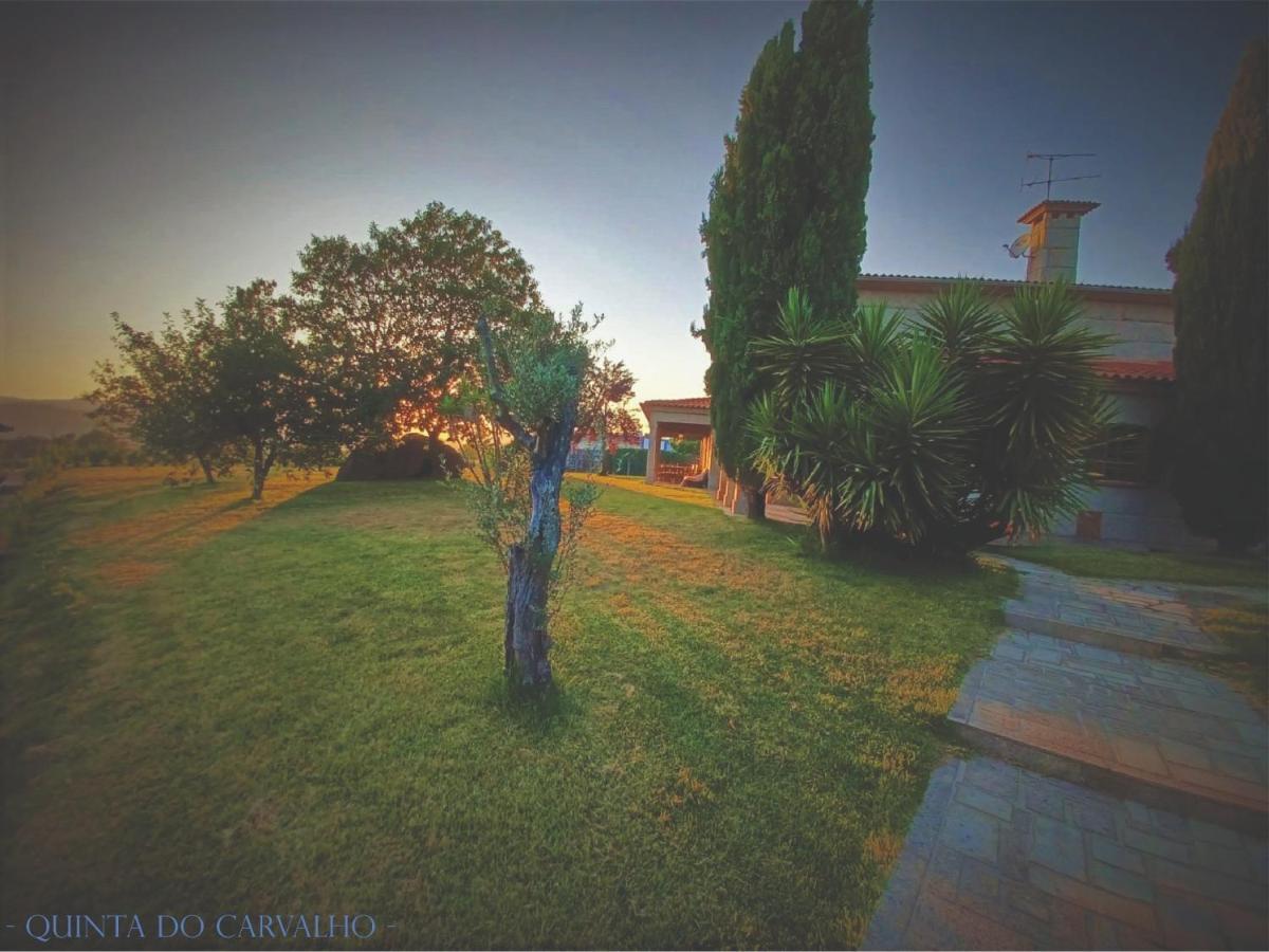Quinta Do Carvalho - Nature *